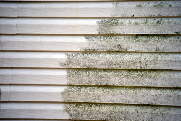 Best Brick Veneer Siding  in Marion, VA