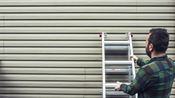 Best Custom Trim and Detailing for Siding  in Marion, VA