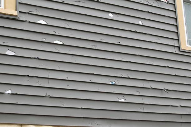 Best Steel Siding Installation  in Marion, VA